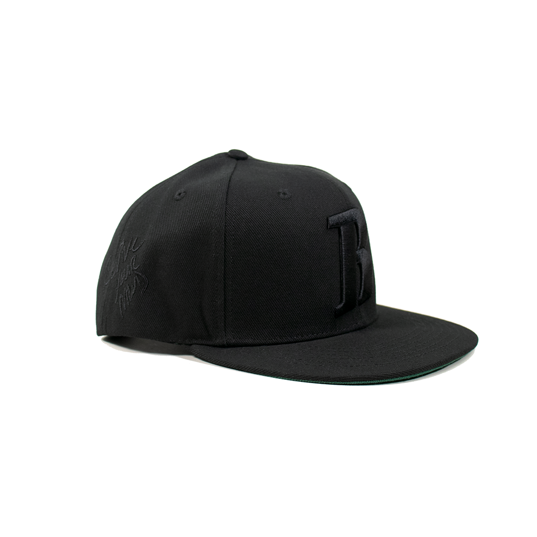 REVIVE MINDS R SNAPBACK HAT